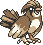 #017 Pidgeotto sprite Amarillo
