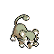 #019 Rattata sprite Cristal Shiny