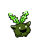 #187 Hoppip sprite Cristal Shiny