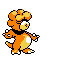 #240 Magby sprite Cristal Shiny