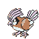 #017 Pidgeotto sprite Oro