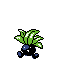 #043 Oddish sprite Plata
