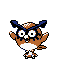 #163 Hoothoot sprite Plata
