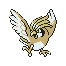 #017 Pidgeotto sprite Plata Shiny