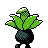#043 Oddish sprite Posterior