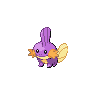 #258 Mudkip sprite Esmeralda Shiny