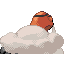 #324 Torkoal sprite Posterior