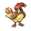#017 Pidgeotto sprite Rojo Fuego / Verde Hoja