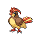 #017 Pidgeotto sprite Oro HeartGold / Plata SoulSilver