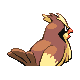 #016 Pidgey sprite Posterior