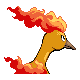 #146 Moltres sprite Posterior