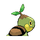 #387 Turtwig sprite Posterior