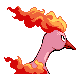 #146 Moltres sprite Posterior Shiny