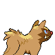 #261 Poochyena sprite Posterior Shiny