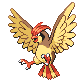 #017 Pidgeotto sprite Platino