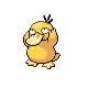#054 Psyduck sprite Platino
