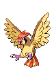 #017 Pidgeotto sprite Frontal