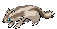 #264 Linoone sprite Frontal