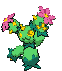 #556 Maractus sprite Frontal