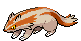 #264 Linoone sprite Frontal Shiny
