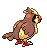 #016 Pidgey sprite Posterior